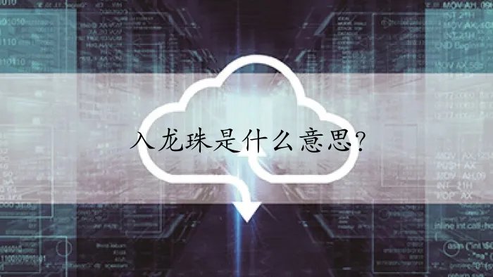 入龙珠是什么意思？