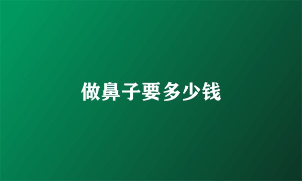 做鼻子要多少钱