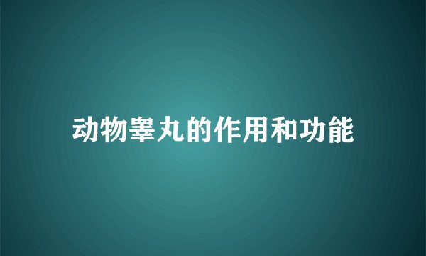 动物睾丸的作用和功能