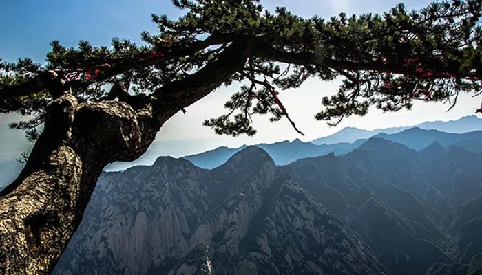 西岳指的是什么山