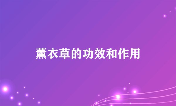 薰衣草的功效和作用