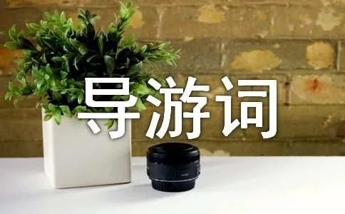 龙门石窟导游词