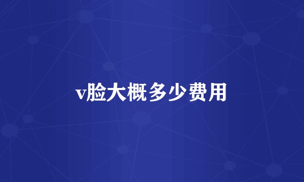 v脸大概多少费用
