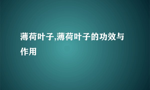 薄荷叶子,薄荷叶子的功效与作用