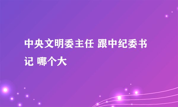中央文明委主任 跟中纪委书记 哪个大