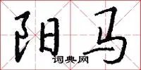 阳马