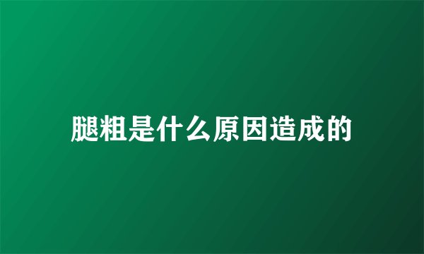 腿粗是什么原因造成的