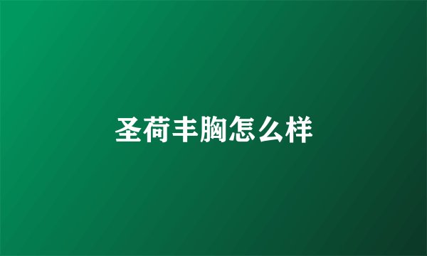 圣荷丰胸怎么样