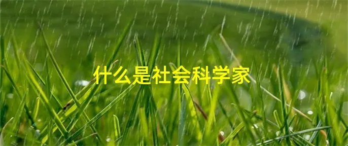 什么是社会科学家