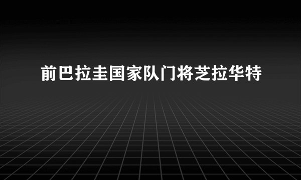 前巴拉圭国家队门将芝拉华特