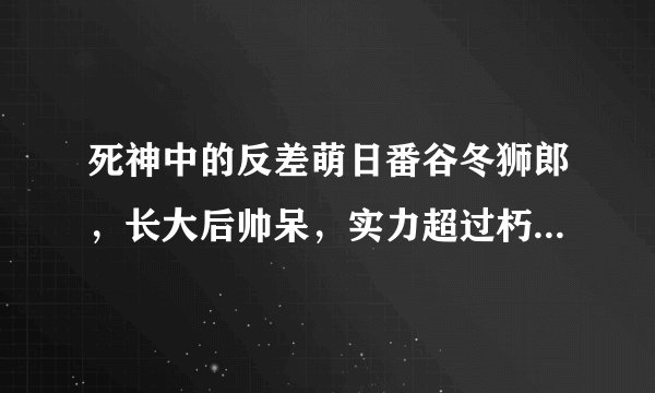 死神中的反差萌日番谷冬狮郎,长大后帅呆,实力超过朽木白哉!