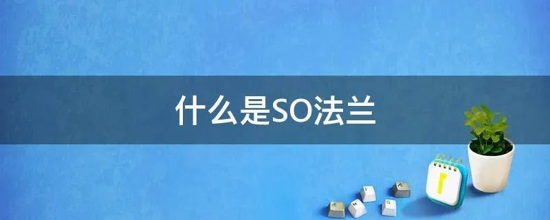 什么是SO法兰