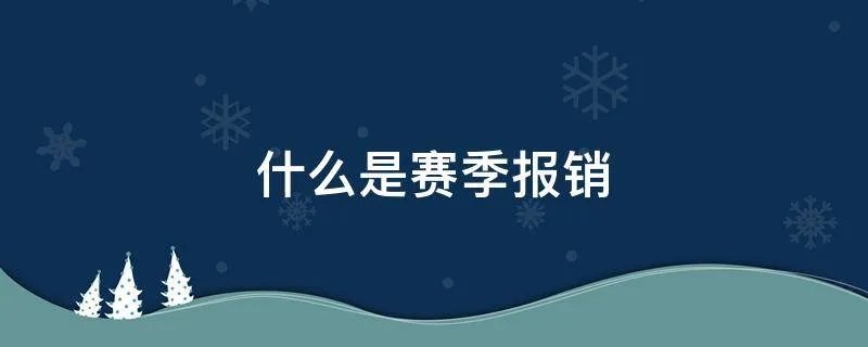 什么是赛季报销