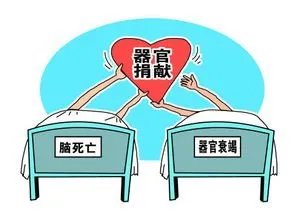 6岁女孩去世捐器官救5人，她捐献的精神有感动到你吗？