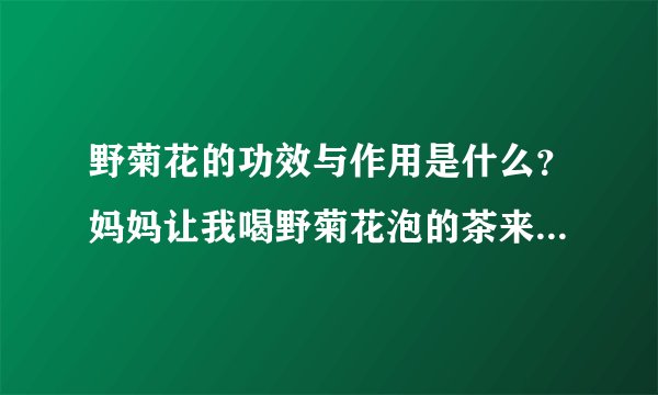 野菊花的功效与作用是什么？妈妈让我喝野菊花泡的茶来调理，我想知道这有什么功效和作用？