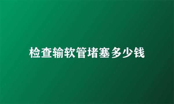 检查输软管堵塞多少钱