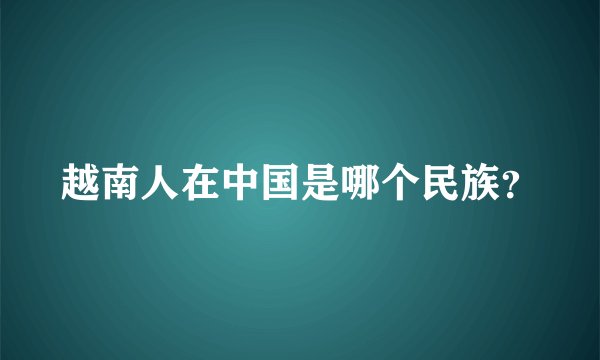 越南人在中国是哪个民族？