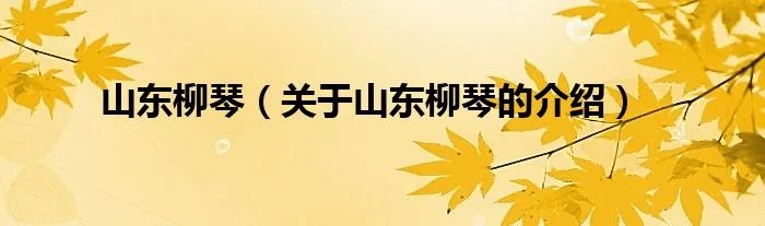 山东柳琴（关于山东柳琴的介绍）
