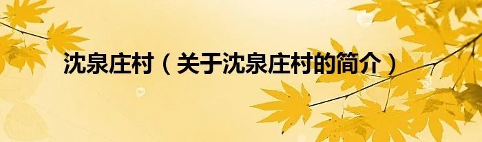 沈泉庄村（关于沈泉庄村的简介）