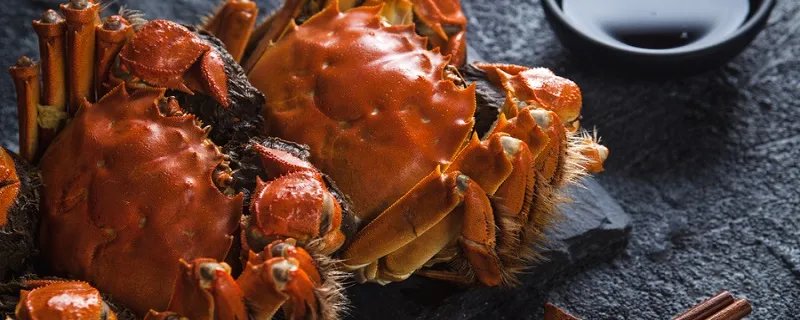 河蟹吃什么 河蟹吃什么能养活