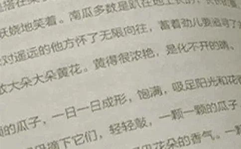 三年级上册语文作文