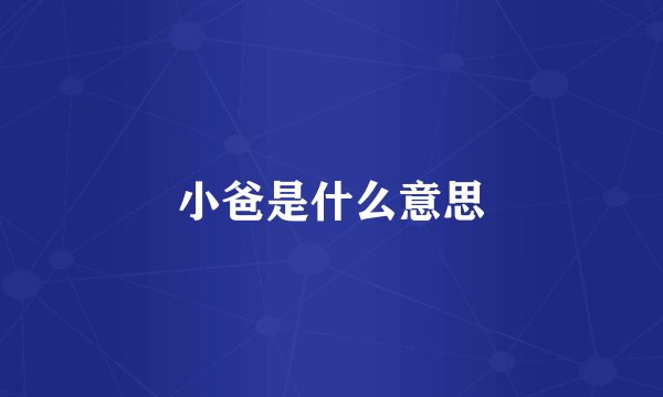 小爸是什么意思